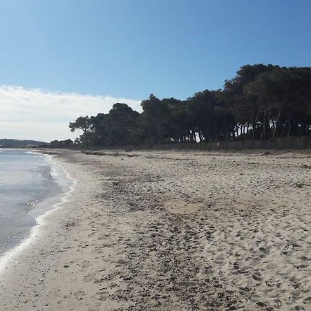 villa le grilladou Hyères Esterno foto